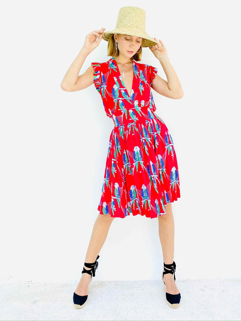 STAR DANCER DRESS Dresses Feather & Find 