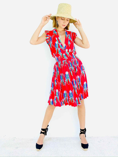 STAR DANCER DRESS Dresses Feather & Find 