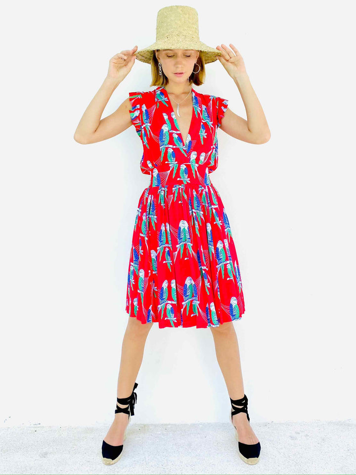 STAR DANCER DRESS Dresses Feather & Find 