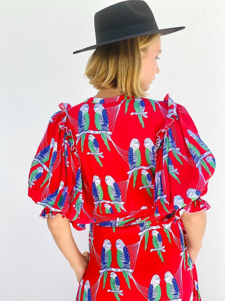 Eclectus May Dress Dress Feather & Find 