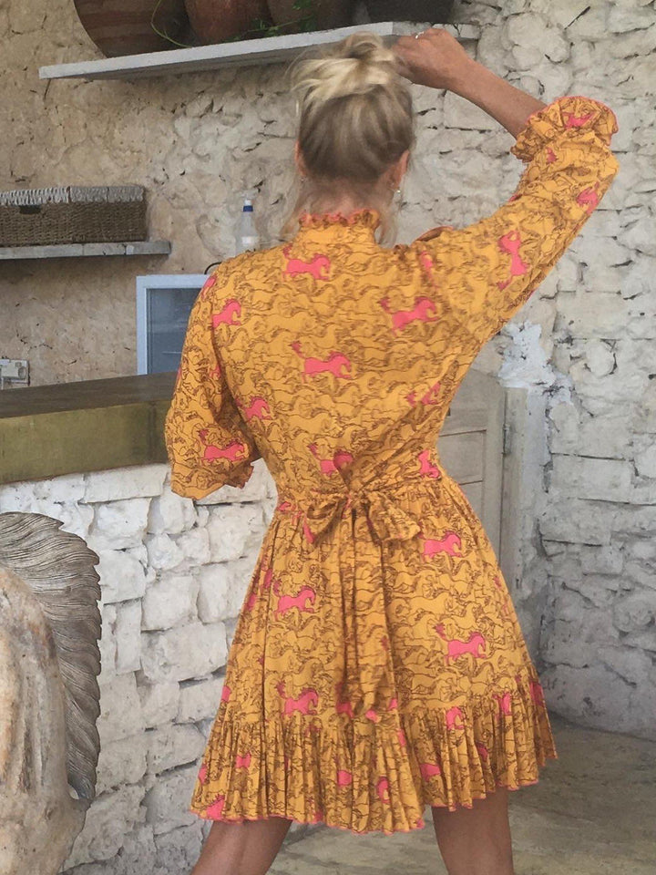 Cheyanne Dress Dress Feather & Find 